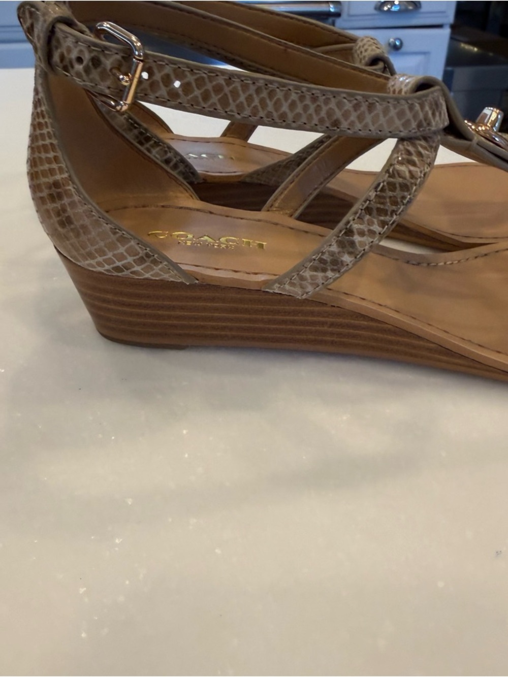 Coach Women’s Turnlock Leather Sandals Ingrid Snakeskin Snake Print Sz 8 NIB - Picture 6 of 12